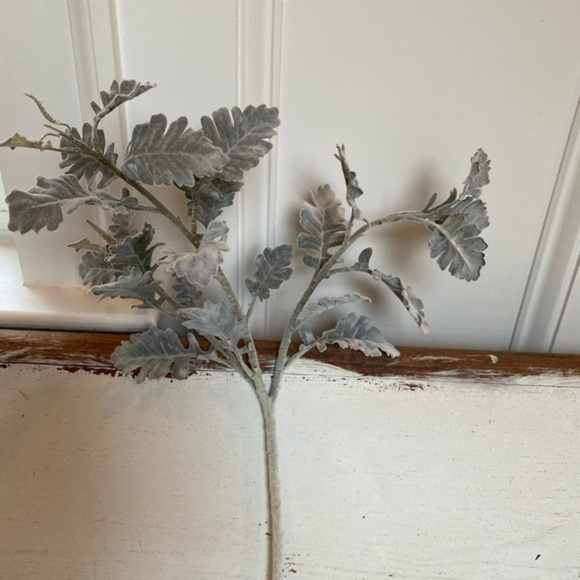 Anthropologie Terrain Velvet Faux Dusty Miller Stem - Picture 7 of 9